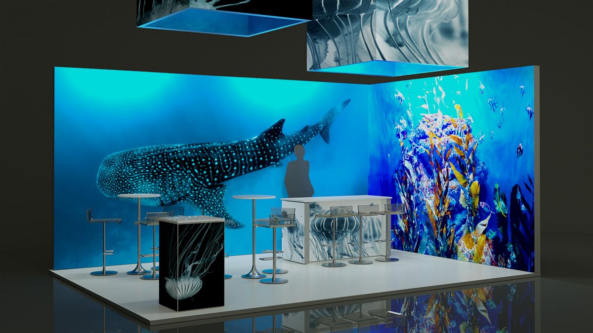 stand_ballena_apagado_luz3 Stands Cajas de Luz