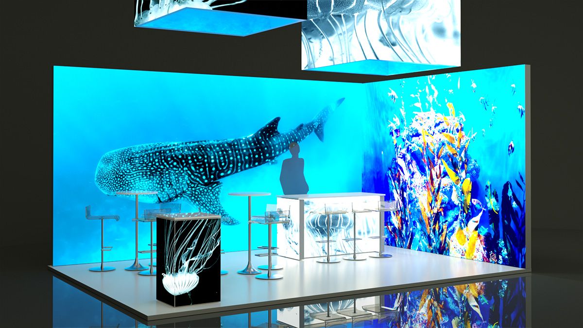 stand_ballena_encendido Stands Cajas de Luz